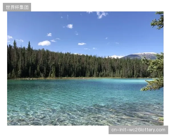多伦多与温哥华不同的主场氛围，将给加拿大队带来压力与动力的双重考验。